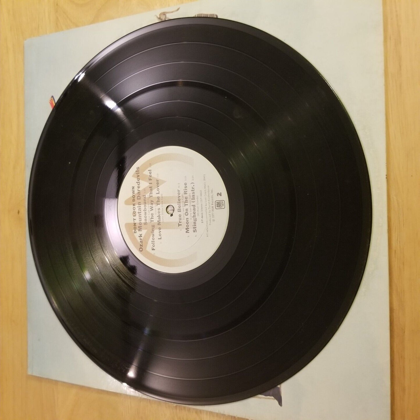 The Ozark Mountain Daredevils - Don't Look Down - 1977 - SP-4662 Vinyl Record LP
