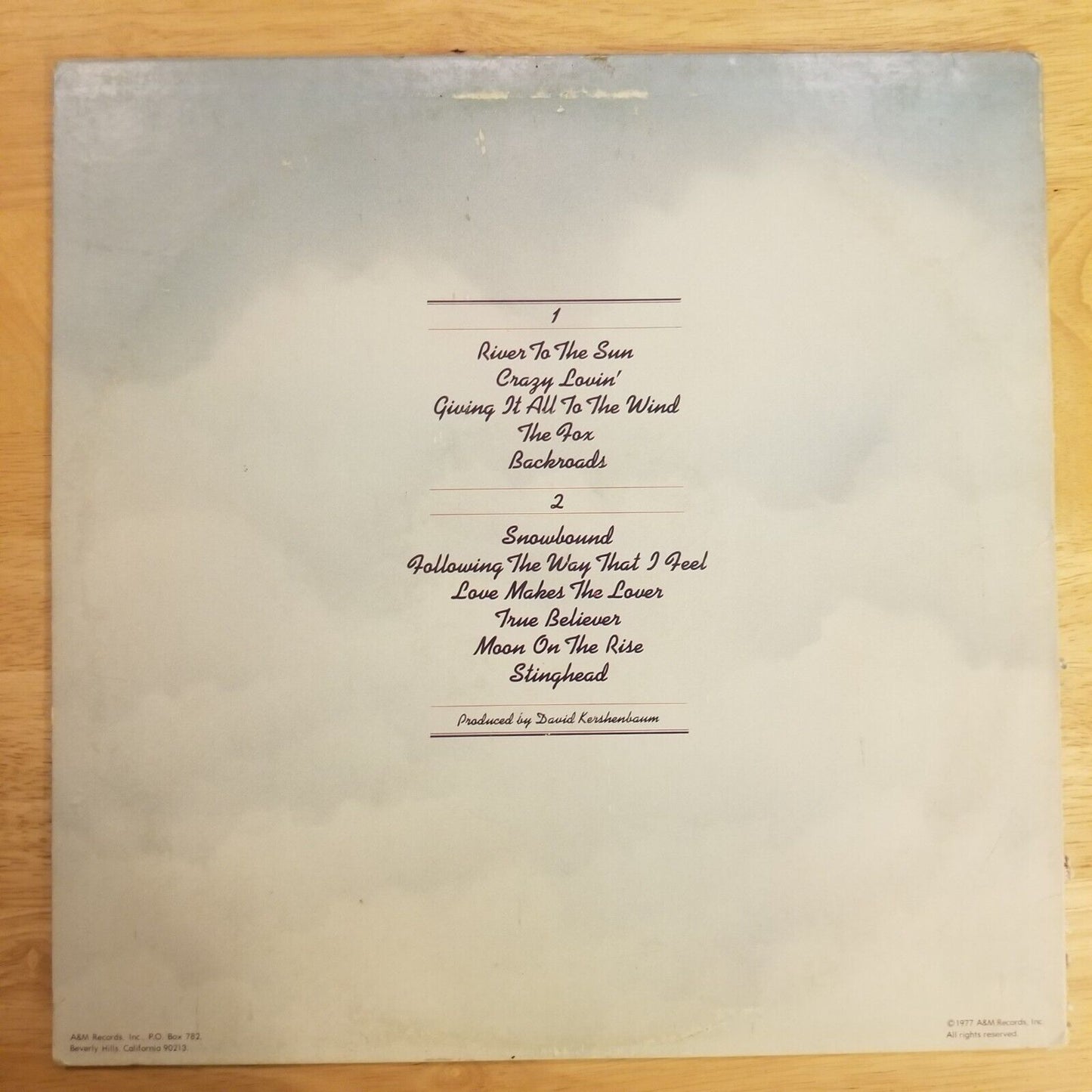 The Ozark Mountain Daredevils - Don't Look Down - 1977 - SP-4662 Vinyl Record LP