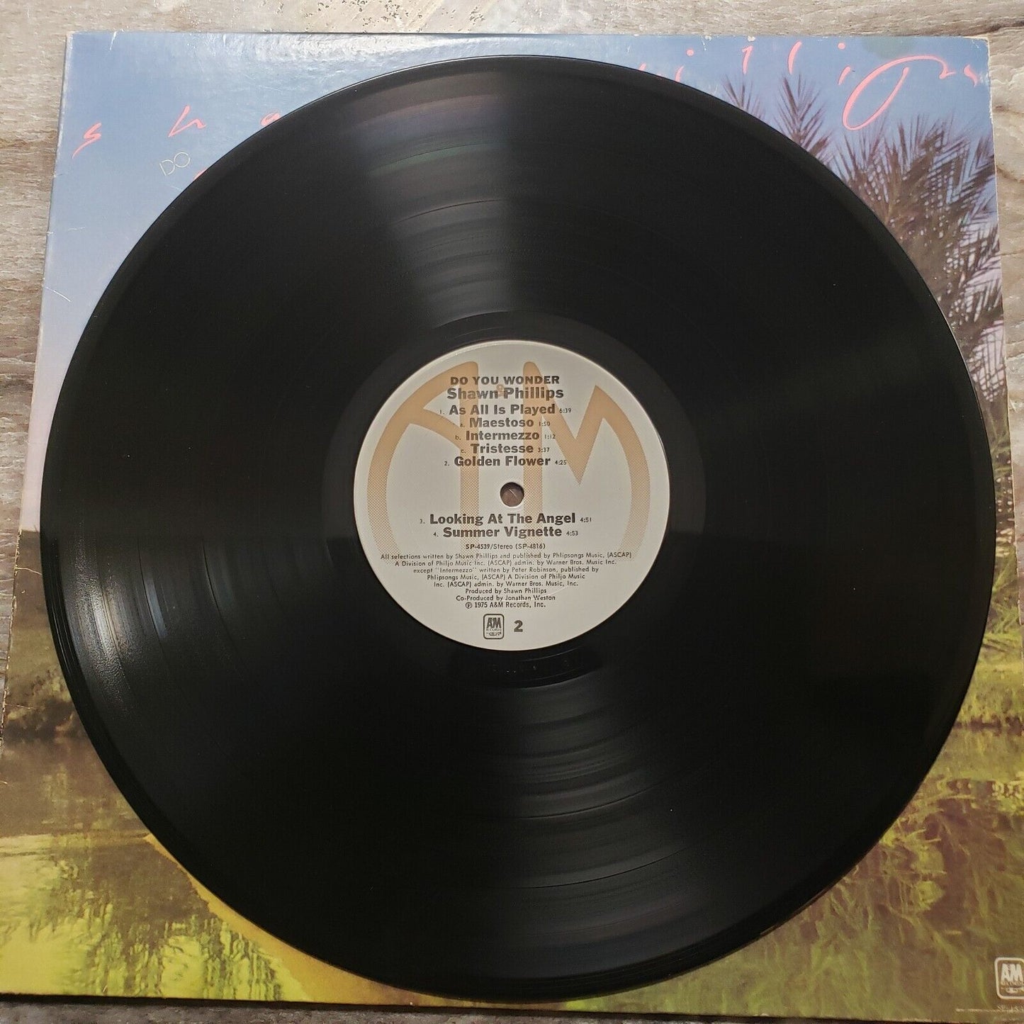 Shawn Phillips - Do You Wonder - 1975 Vinyl Record LP