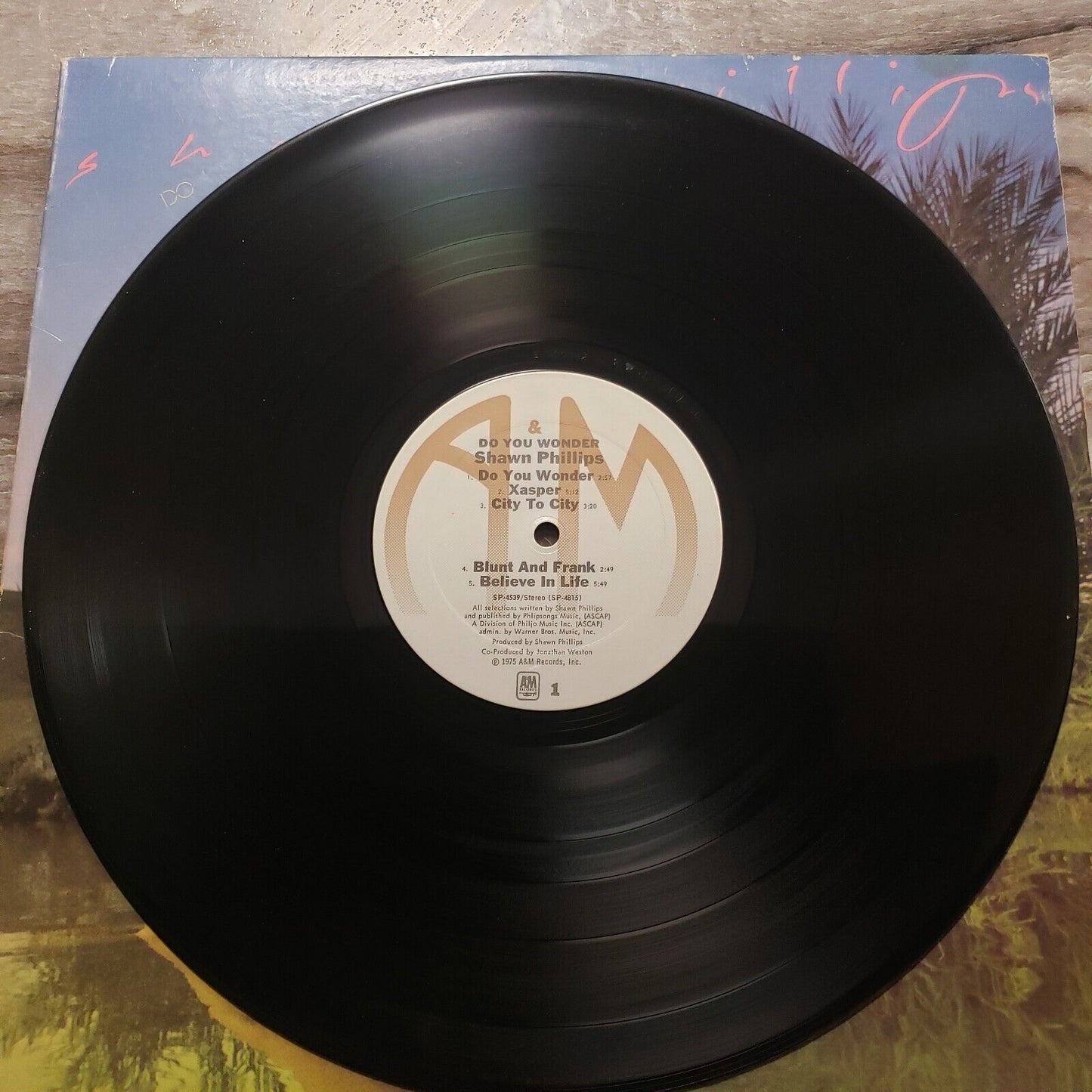 Shawn Phillips - Do You Wonder - 1975 Vinyl Record LP