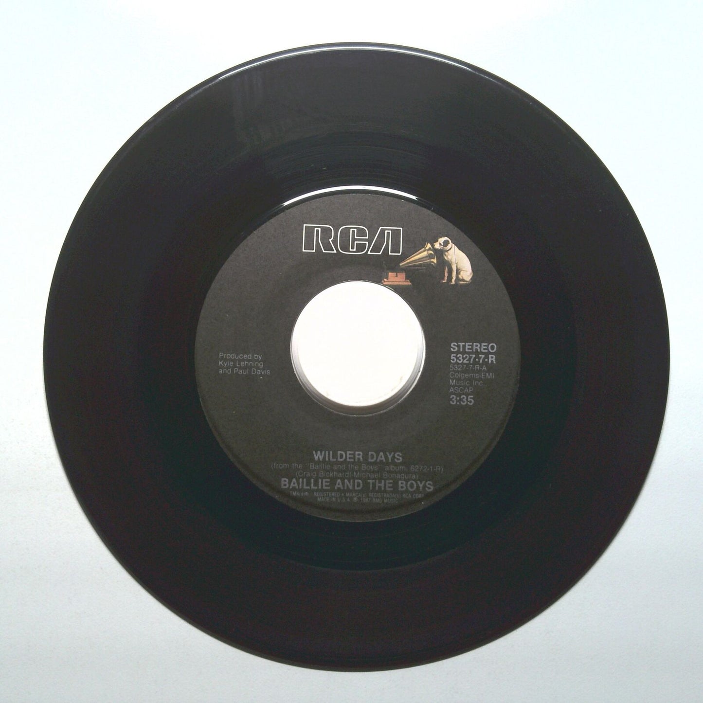 Baillie And The Boys - You Fool; Wilder Days - Vinyl 45 RPM 7"