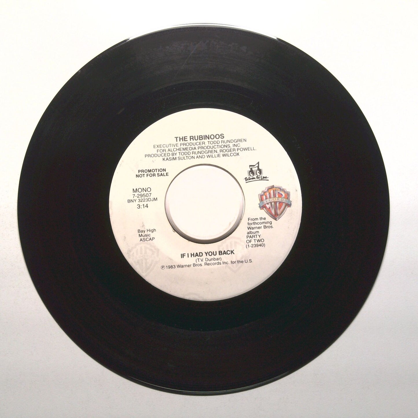 The Rubinoos - If I Had You Back - Promo - Vinyl Record 45 RPM 7"