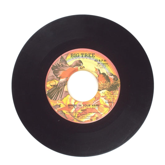 Hot - Angel in Your Arms; Just 'Cause I'm Guilty - Vinyl Record 45 RPM 7"