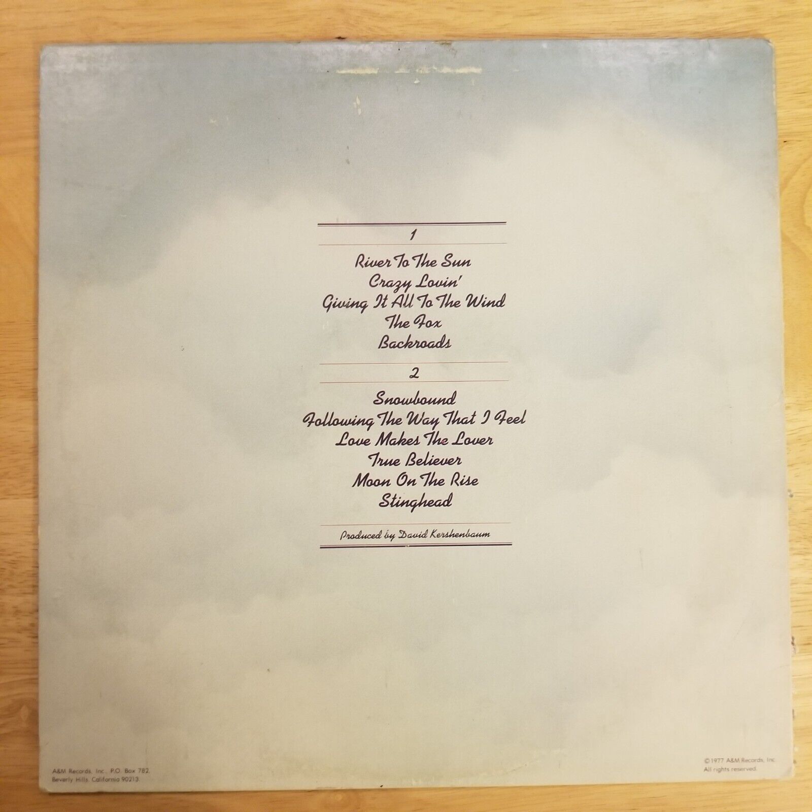 The Ozark Mountain Daredevils - Don't Look Down - 1977 - SP-4662 Vinyl Record LP