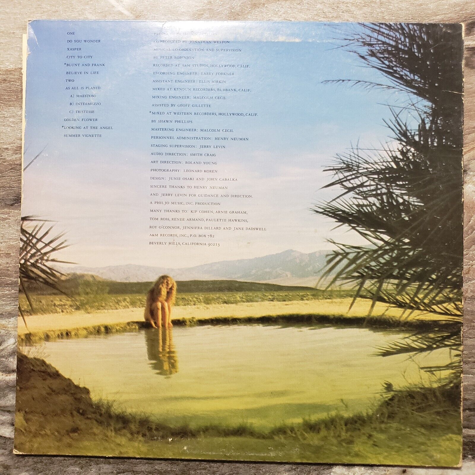 Shawn Phillips - Do You Wonder - 1975 Vinyl Record LP