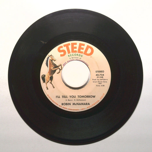 Robin McNamara - I'll Tell You Tomorrow; Lay A Little Lovin' On Me - 45 RPM 7"
